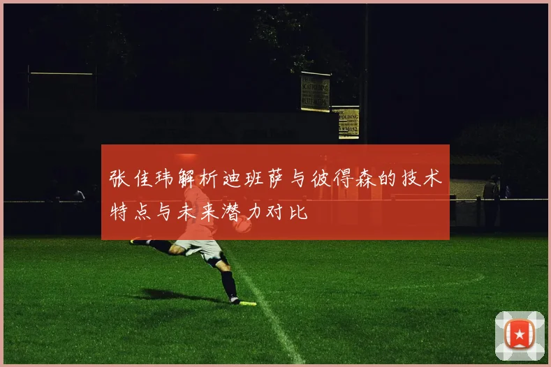 张佳玮解析迪班萨与彼得森的技术特点与未来潜力对比